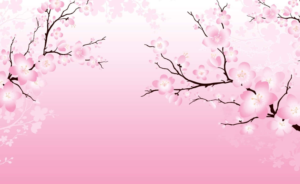 Enjoy The Beauty Of Sakura Blossom In A Peaceful Spring Day Wallpaper