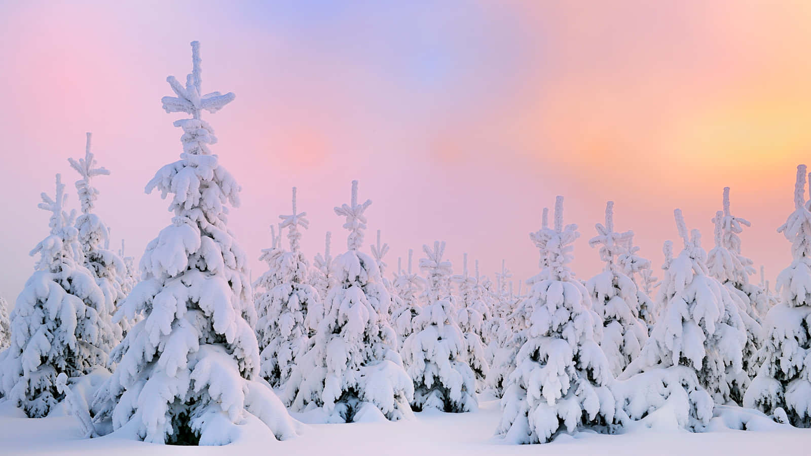 Enjoy The Beauty Of Winter Snow With This Stunning Desktop! Wallpaper