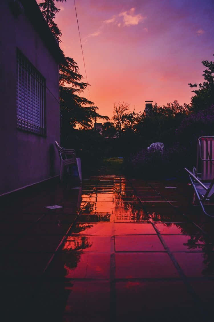 Enjoy The Breathtaking Beauty Of A Sunset Through Your Iphone Wallpaper