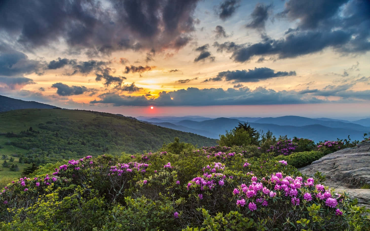 Enjoy The Breathtaking Blue Ridge Mountains Wallpaper