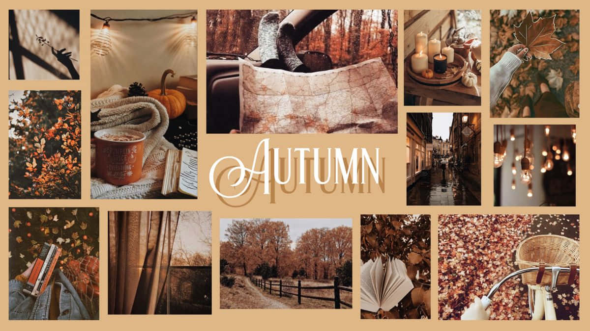 Enjoy The Changing Colours Of Fall With This Beautiful Desktop Collage Wallpaper