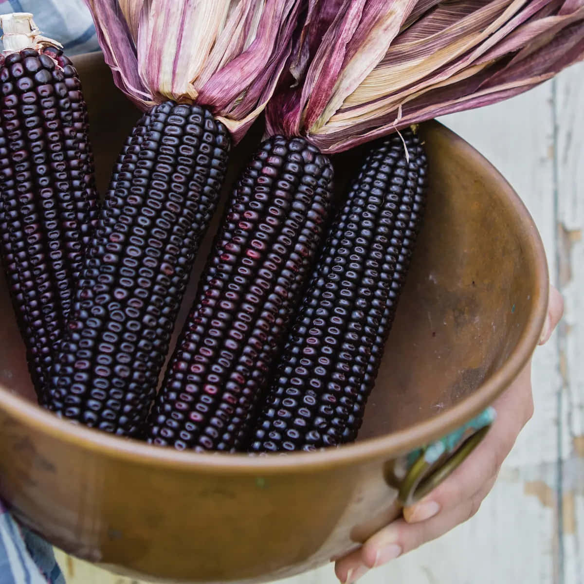 Enjoy The Delicious, Unique Flavor Of Purple Corn Wallpaper