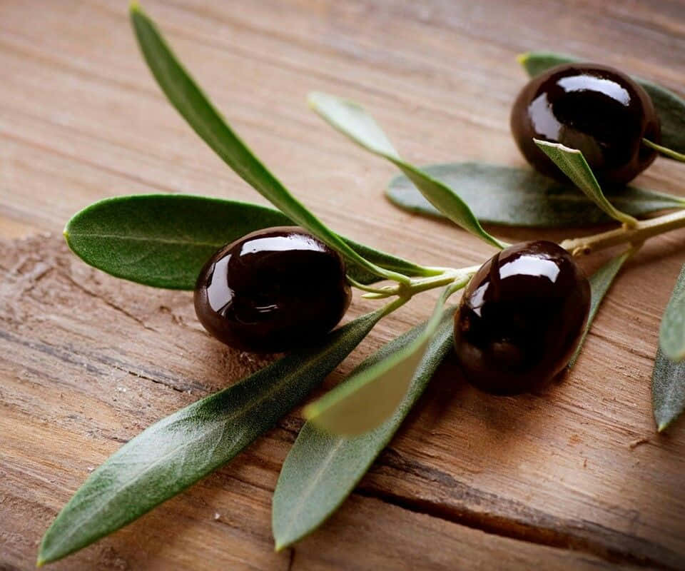 Enjoy The Flavor Of These Freshly-picked Black Olives. Wallpaper