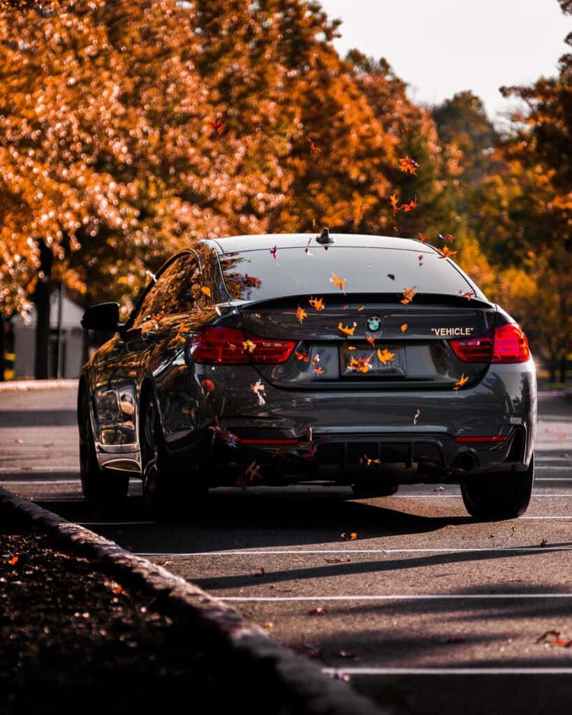 Enjoy The High-performance Of The Bmw M With Your Iphone Wallpaper