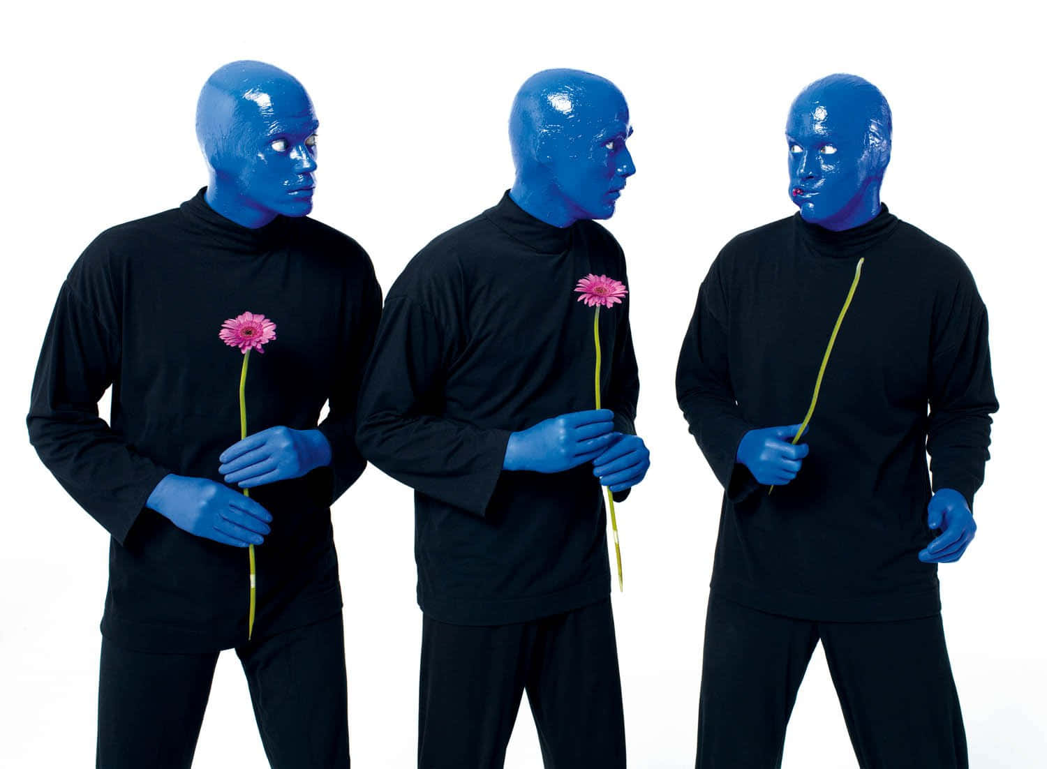 Enjoy The Outrageous Theatrics Of Blue Man Group! Wallpaper