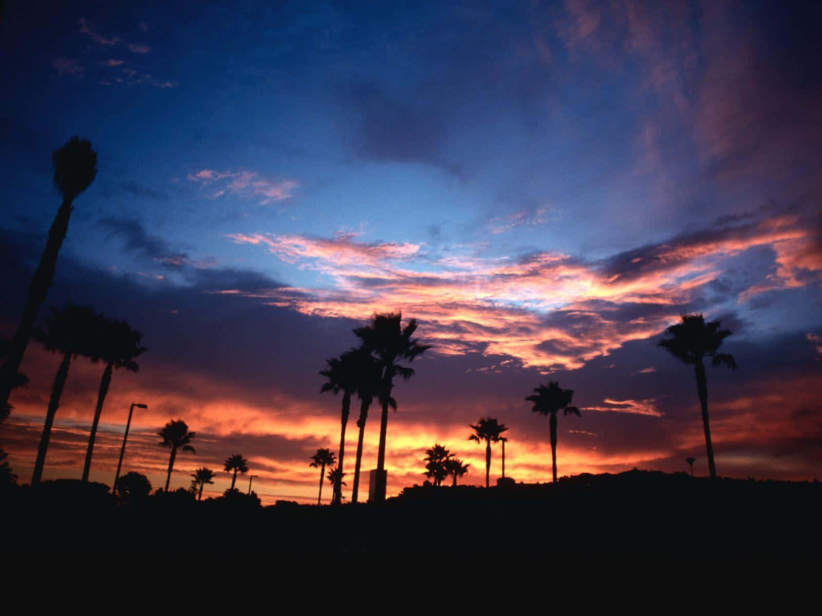 Enjoy The Serene Views Of Southern California Wallpaper