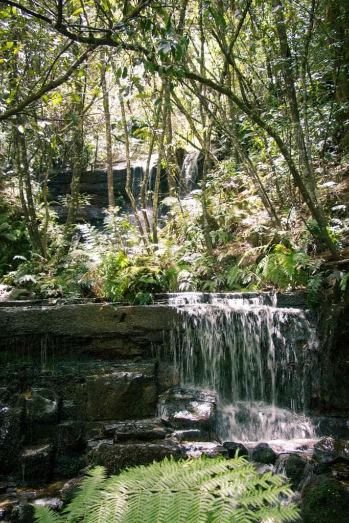 Enjoy The Spectacular Views From Blue Mountains National Park Wallpaper