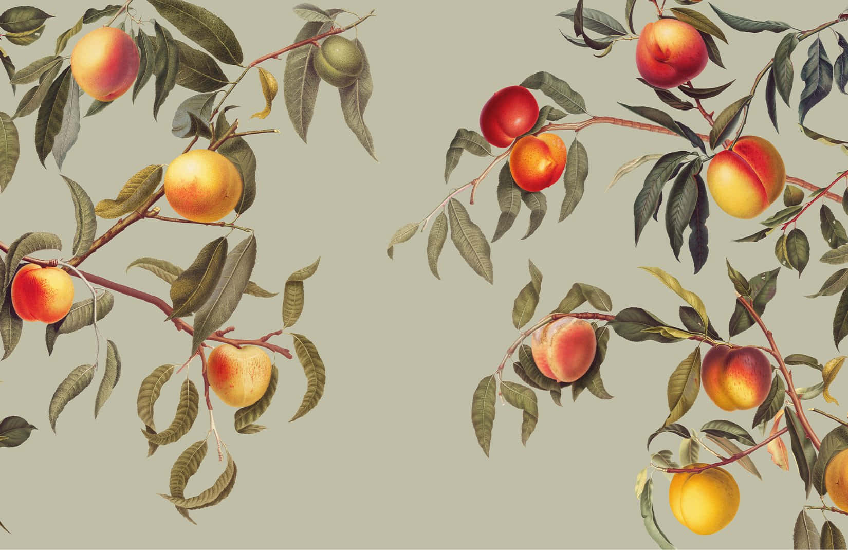 Enjoy The Sweet And Summer Vibe With A Glass Of Vintage Peach Wallpaper