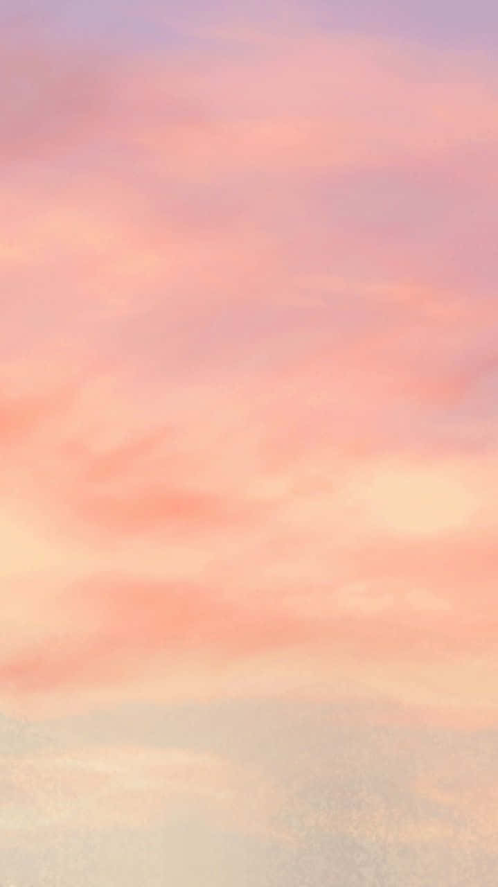 Enjoy The Sweet Summer Vibes With A Peach Iphone Wallpaper