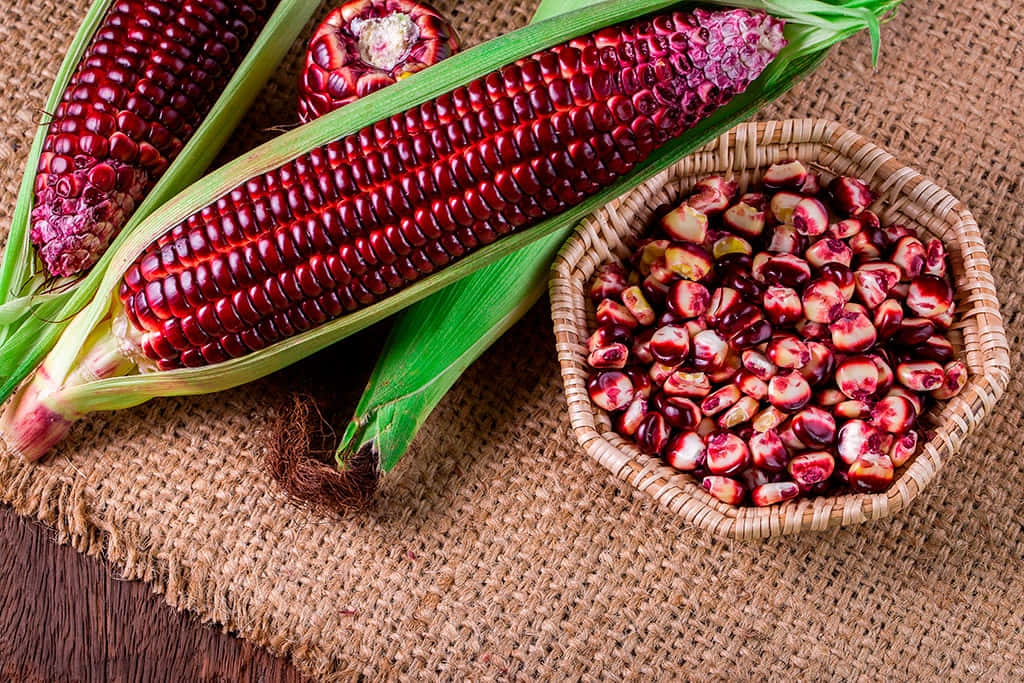 Enjoy The Sweetness Of Purple Corn Wallpaper