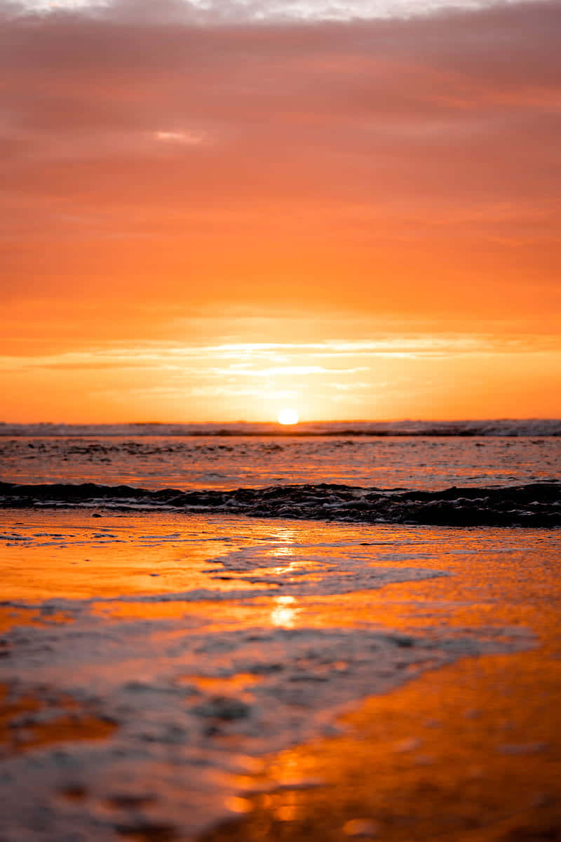 Enjoy The Tranquil Horizon Of Ocean Beach, Ca. Wallpaper