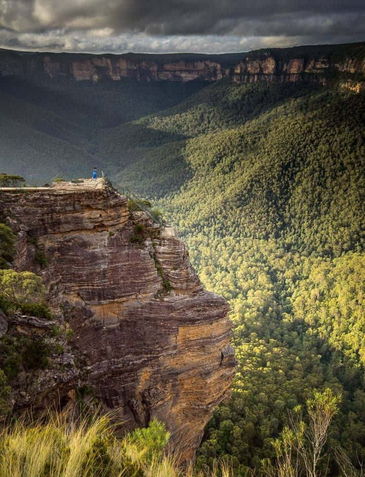 Enjoy The Unique Beauty Of Blue Mountains National Park Wallpaper