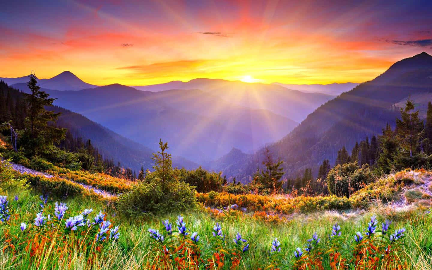 Enjoy The View Of A Beautiful Sunrise On Your Desktop! Wallpaper