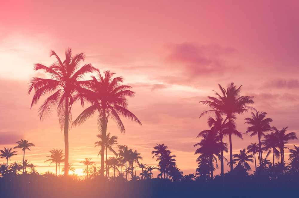 Enjoy The Warm Colors Of Summer With This Beautiful Pink Landscape Wallpaper