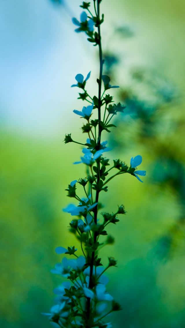 Enjoying A Beautiful Day By A Calm Stream Wallpaper