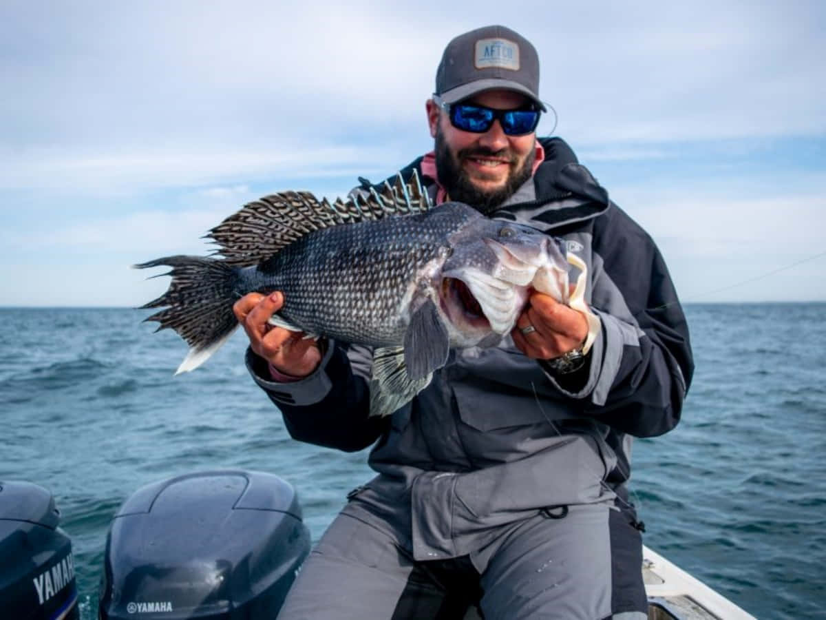 Enjoying A Deliciously Prepared Meal Of Black Sea Bass Wallpaper