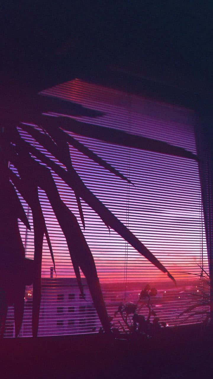 Enjoying A Gorgeous Sunset Wallpaper