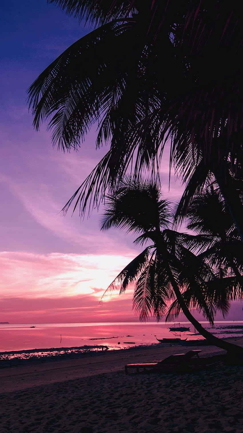 Enjoying A Spectacular Sunset On The Beach Surrounded By The Beauty Of The Pink Skies. Wallpaper