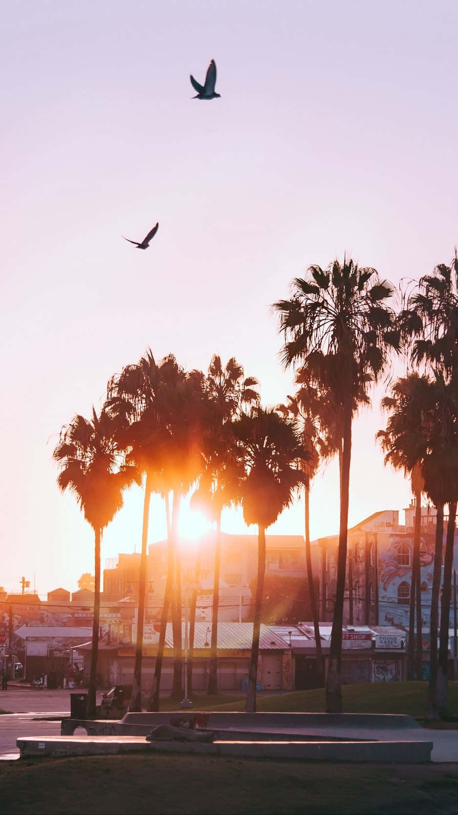 Enjoying A Sunny Day In Los Angeles With Your Iphone Wallpaper