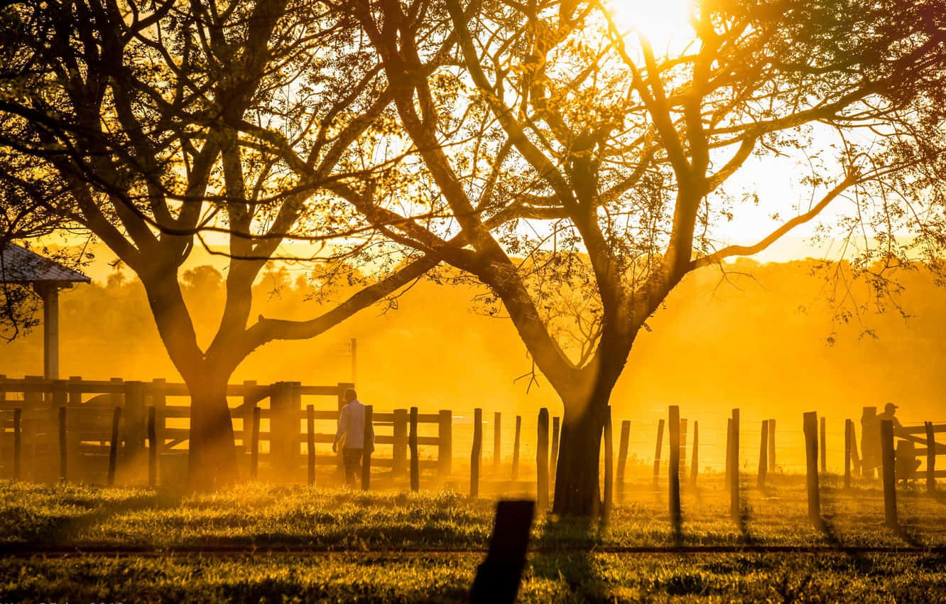 Enjoying The Country Life On A Ranch Wallpaper