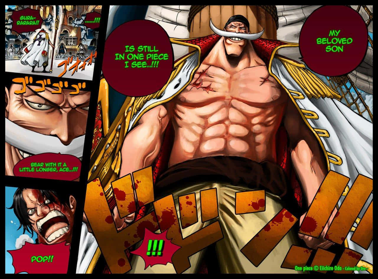 Epic Battle Of The Marineford War Wallpaper