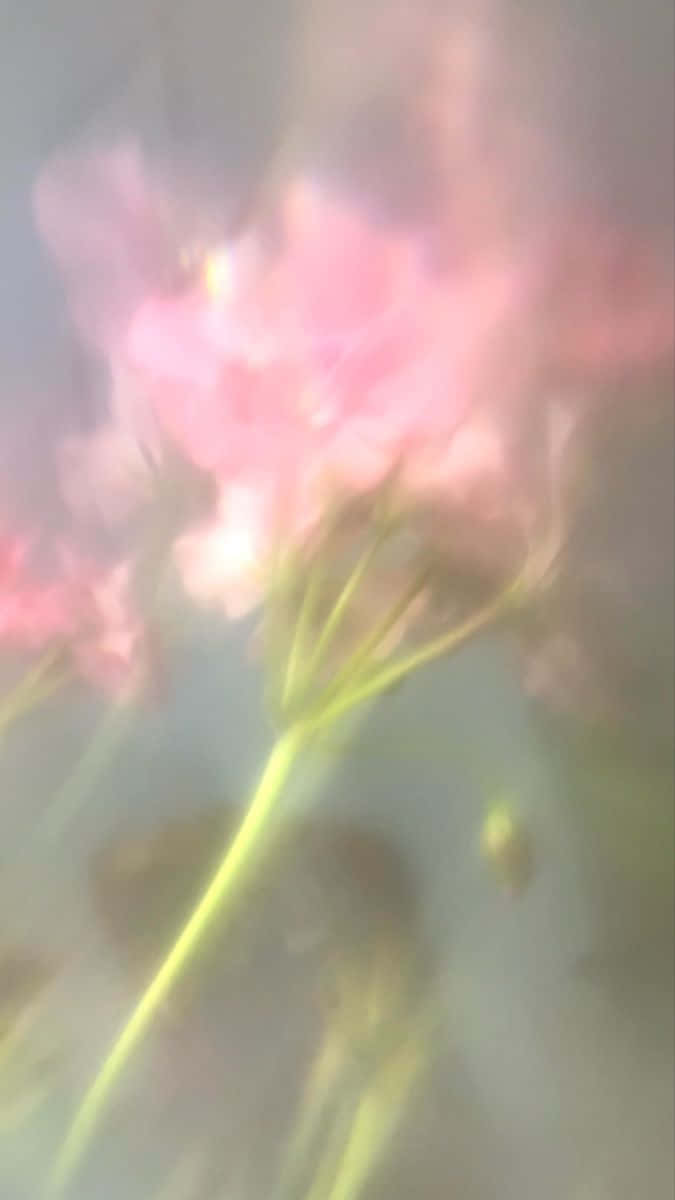 Ethereal_ Floral_ Mist.jpg Wallpaper