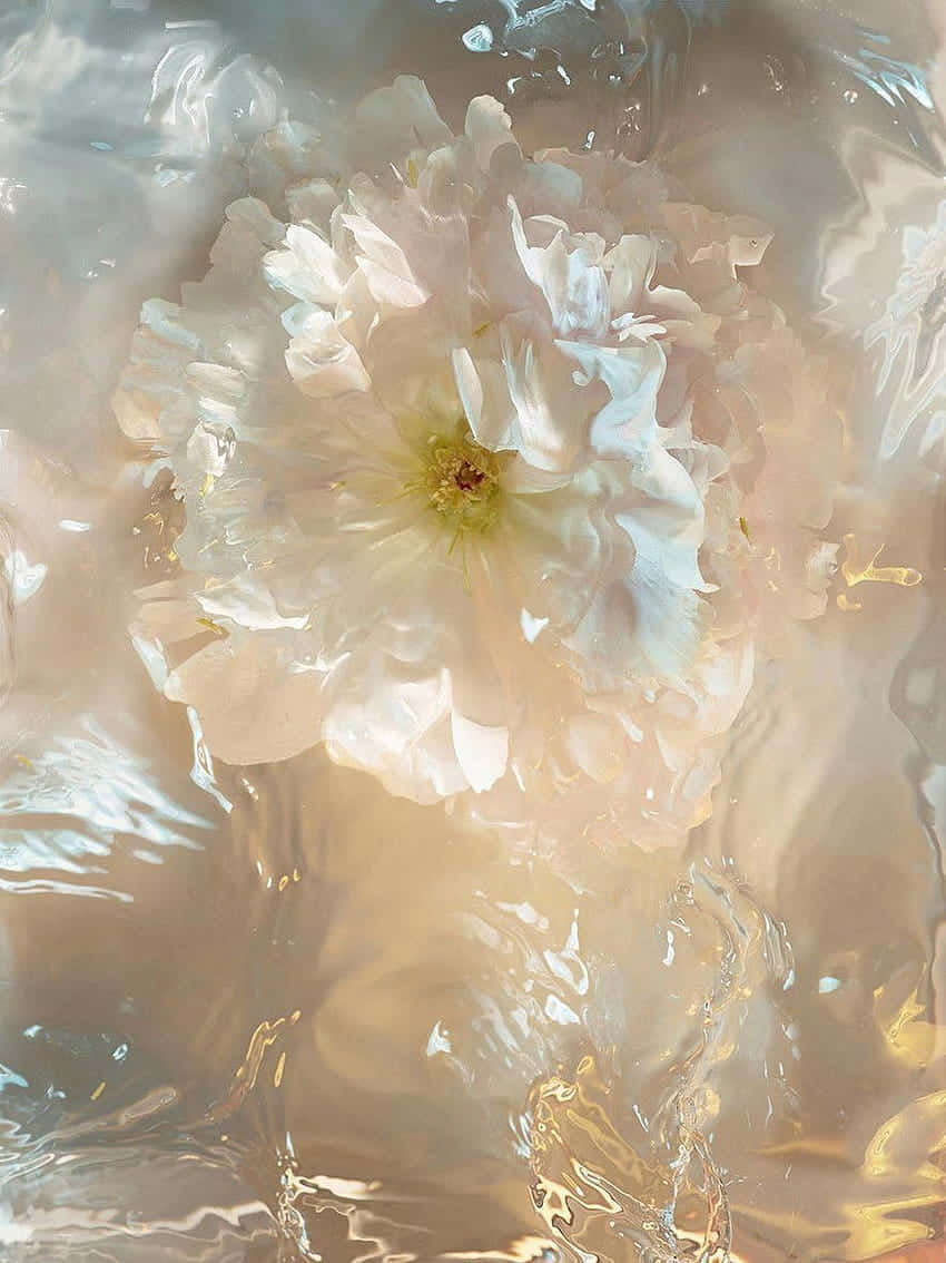 Ethereal Floral Water Dance.jpg Wallpaper