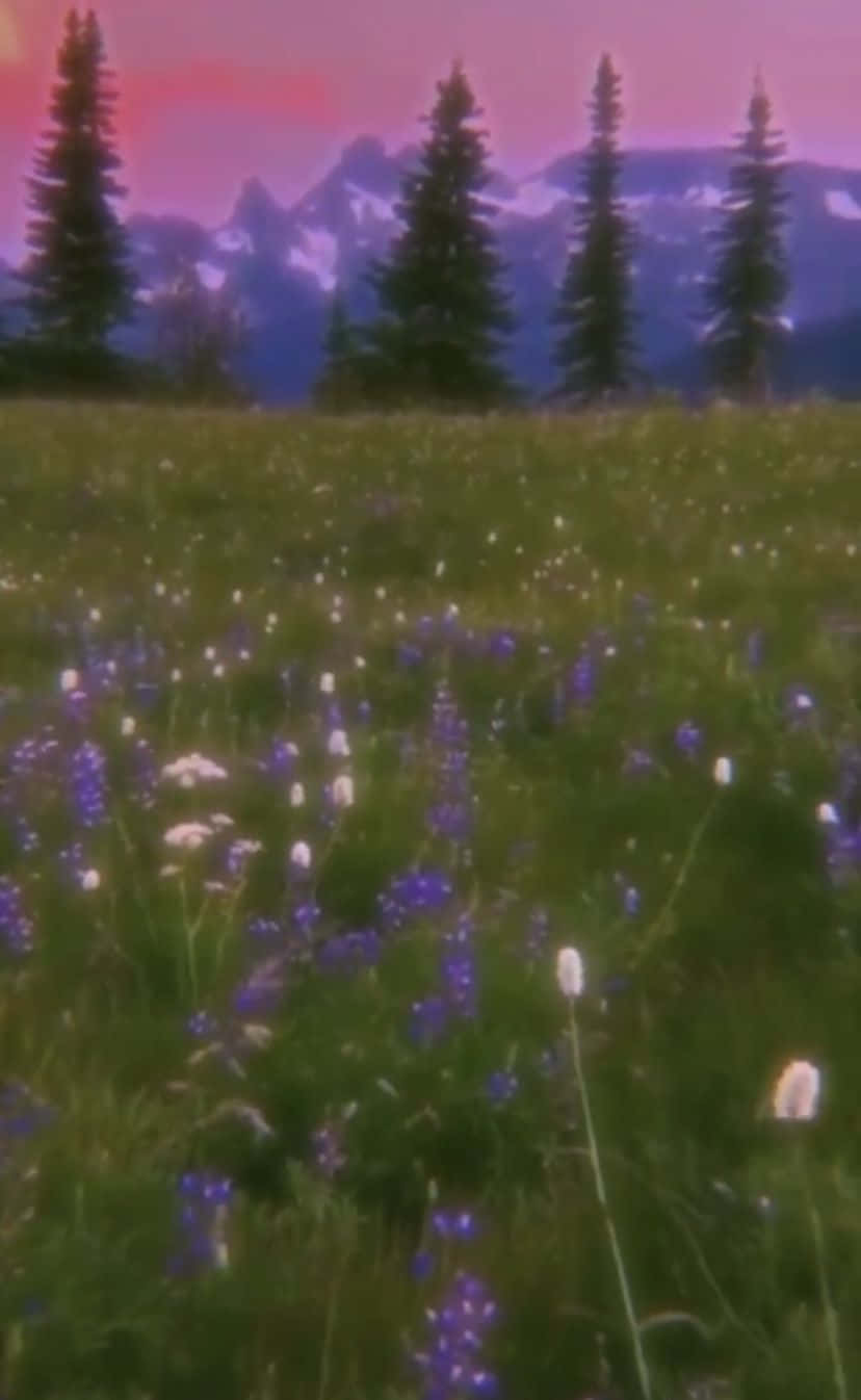 Ethereal Mountain Meadow.jpg Wallpaper