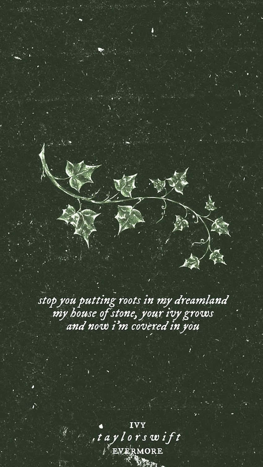 Evermore Ivy Lyrics Taylor Swift Wallpaper