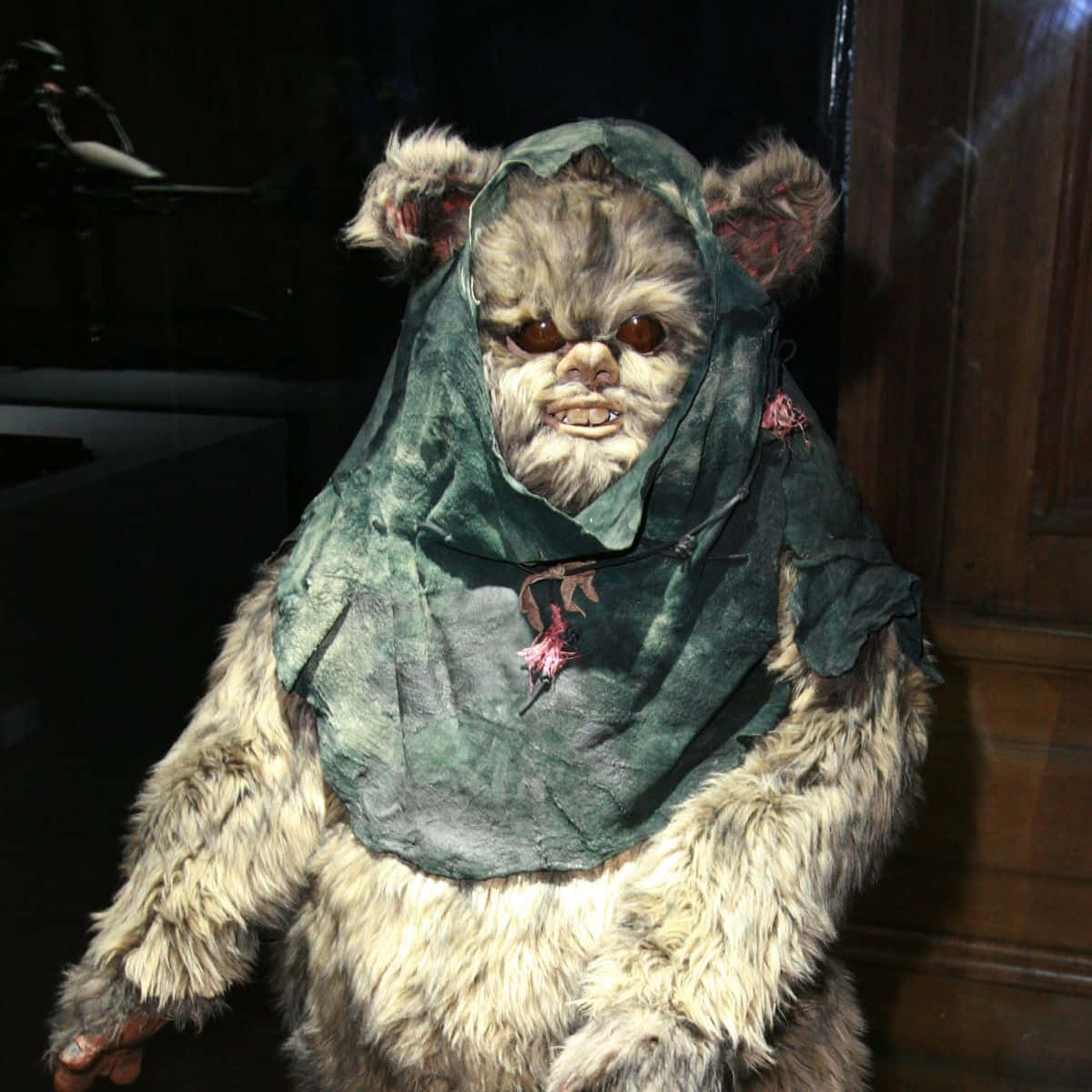 Ewok Costume Display Star Wars Wallpaper