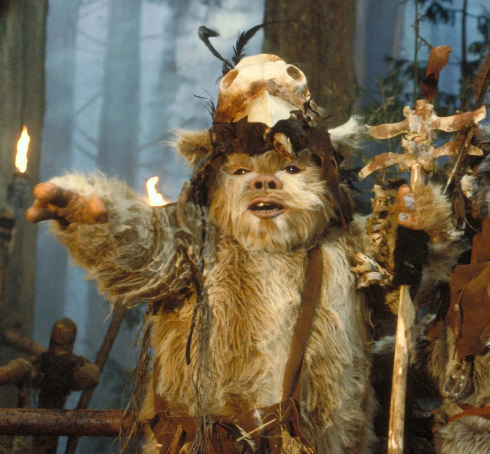 Ewok_ Leader_ Forest_ Moon_of_ Endor.jpg Wallpaper