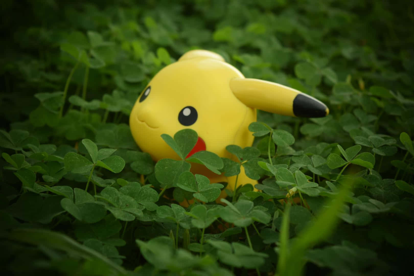 Exciting Collection Of Pokemon Toys Wallpaper