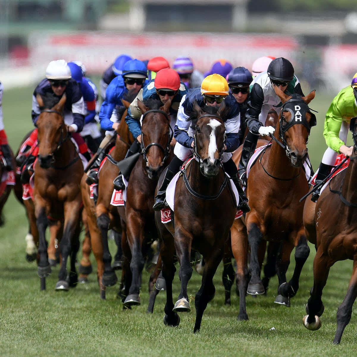 Exciting Crowd Cheering During The Melbourne Cup Day Wallpaper