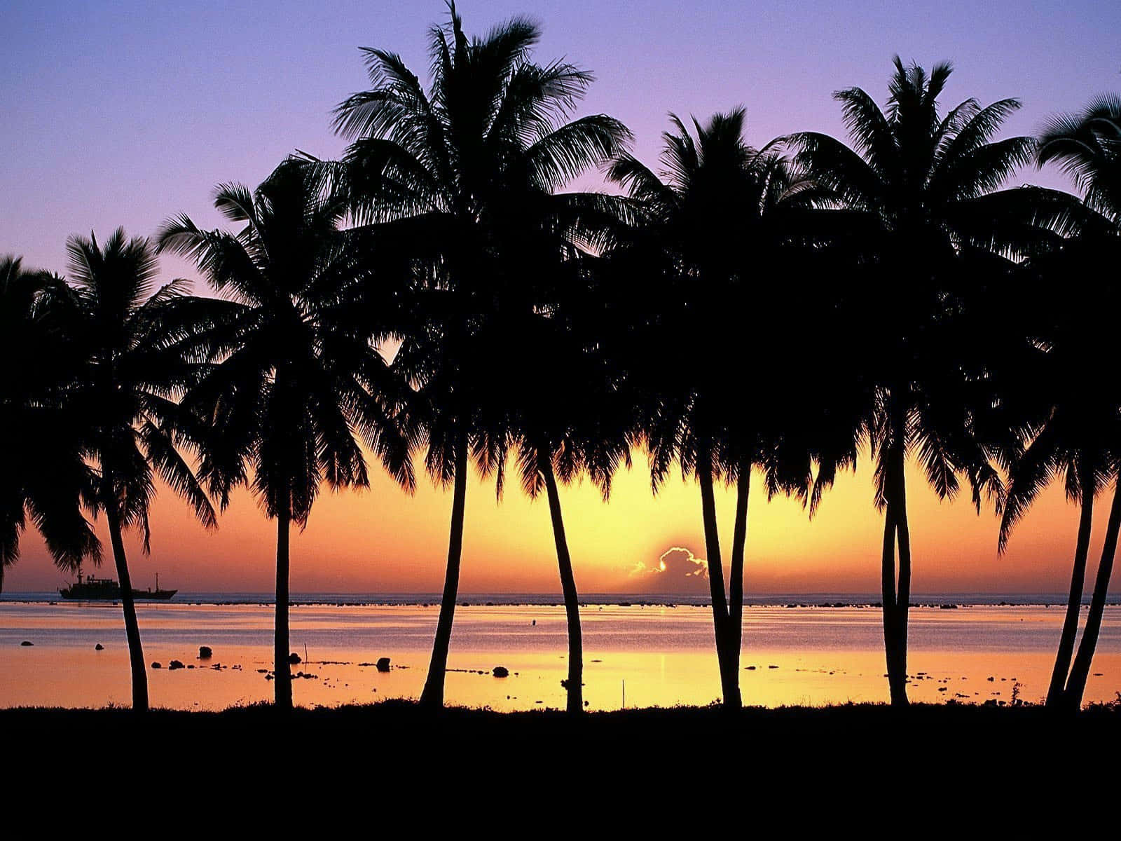 Experience A Tranquil Hawaiian Sunset. Wallpaper