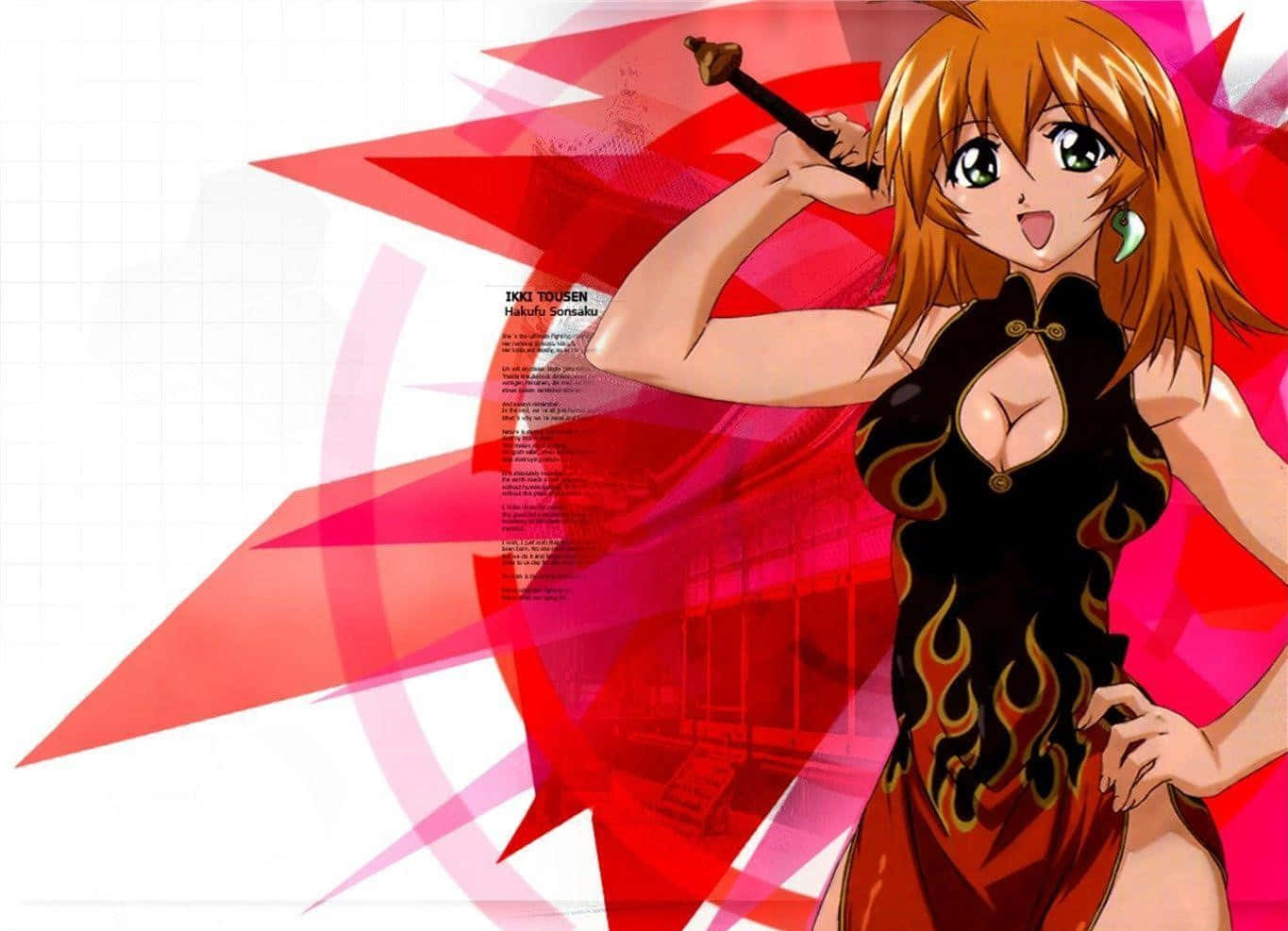 Experience Anime-action With Ikki Tousen Wallpaper