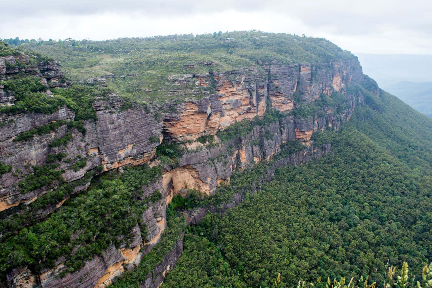 Experience The Exhiliration Of Nature At The Blue Mountains National Park Wallpaper