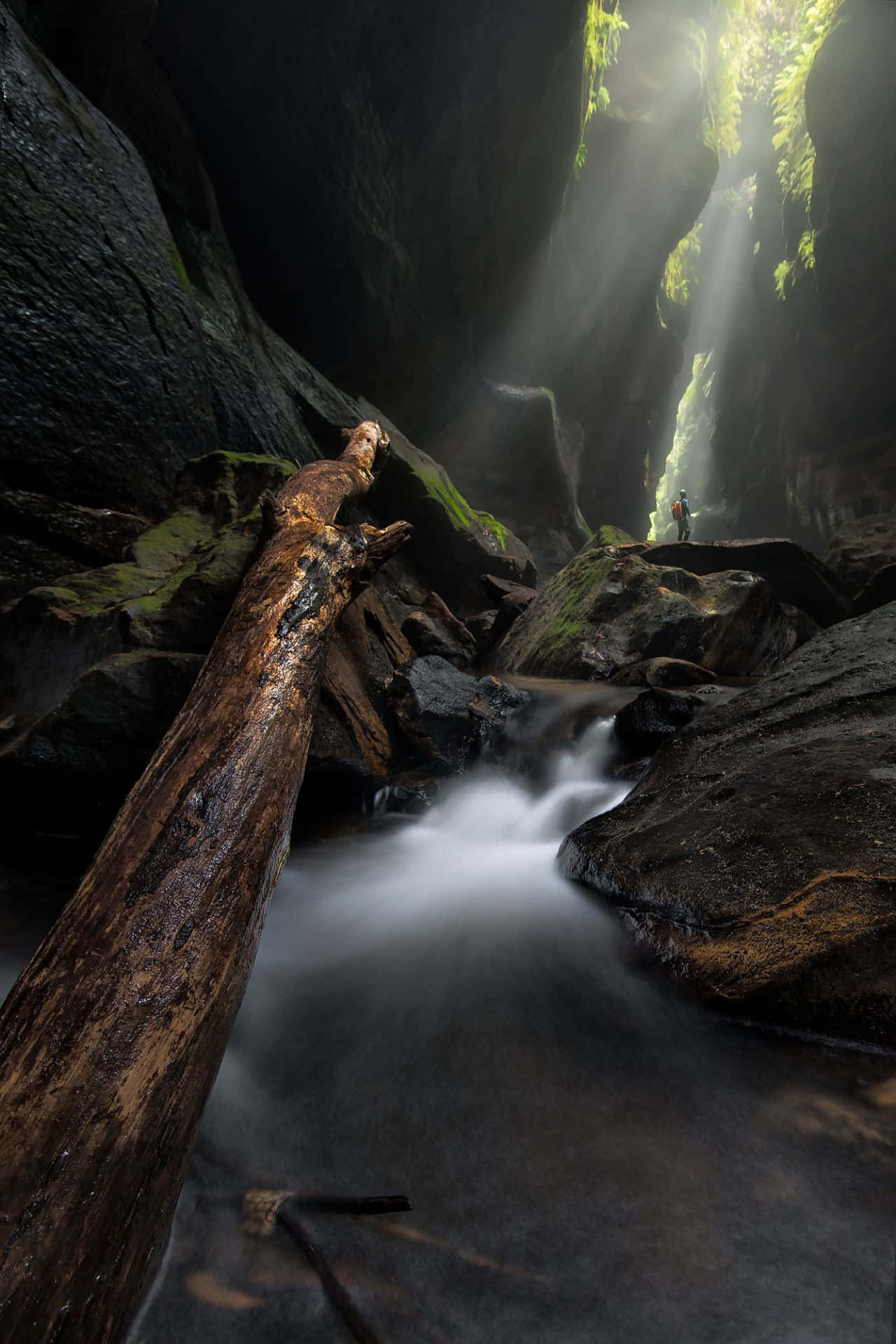 Experience The Grandeur Of Blue Mountains National Park Wallpaper