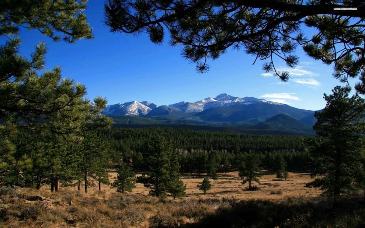 Experience The Natural Beauty Of Colorado Wallpaper