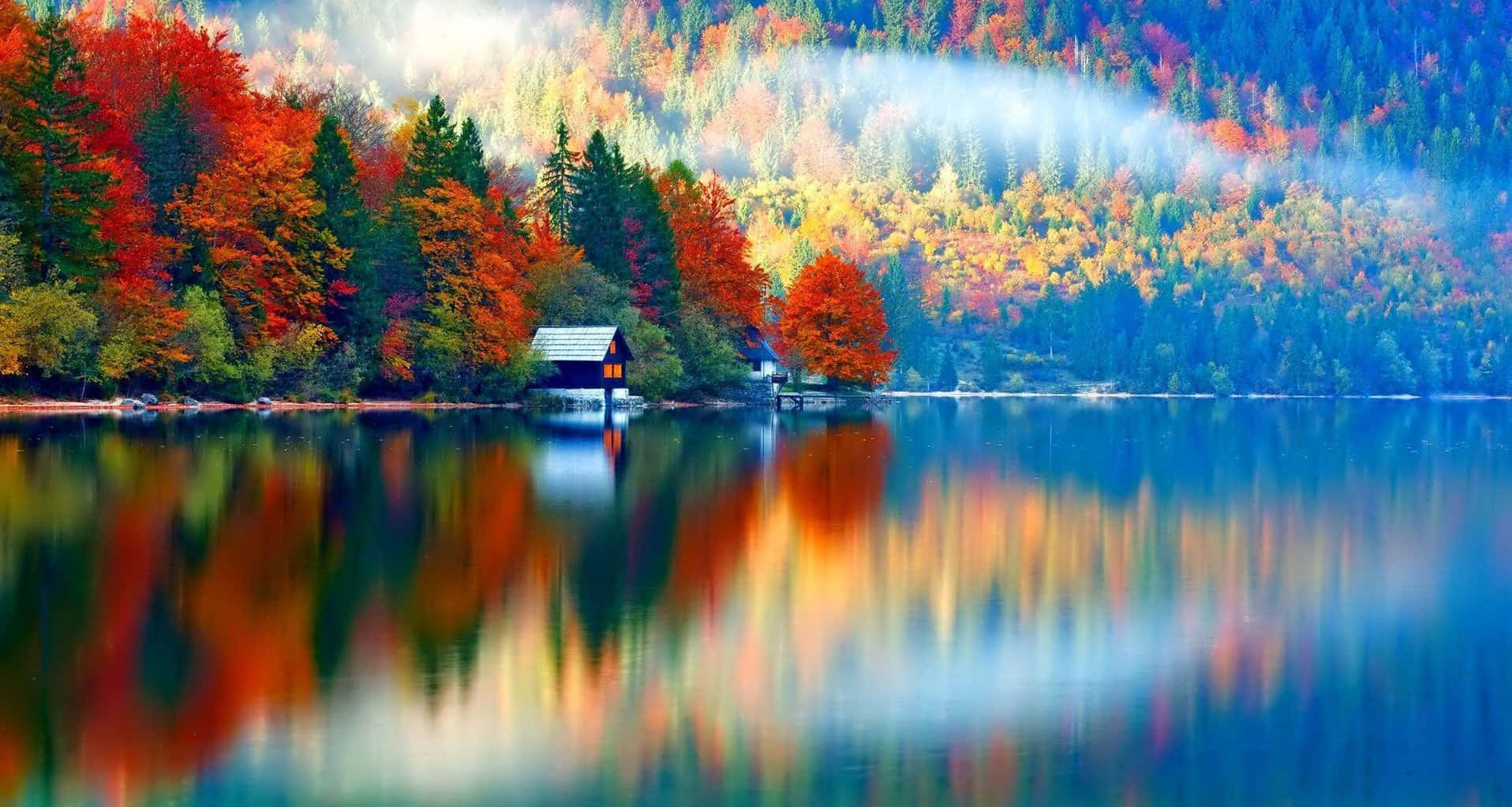 Experiencing The Beauty Of Fall Colors Wallpaper