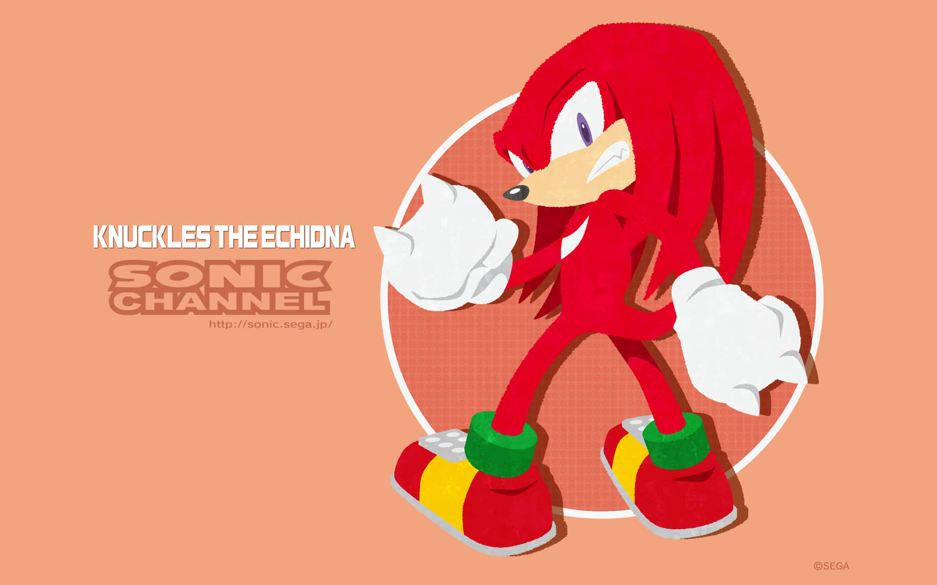 Explore And Discover With Knuckles! Wallpaper