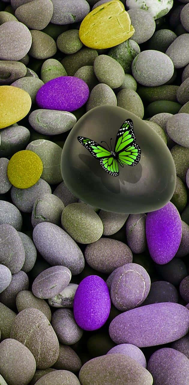 Explore The Beauty Of Nature With Green Butterfly Wallpaper