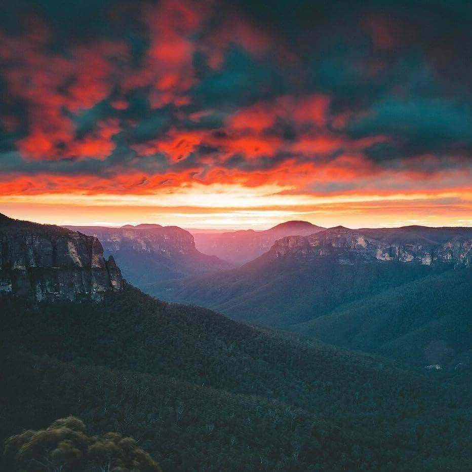 Explore The Breathtaking Beauty Of Blue Mountains National Park Wallpaper