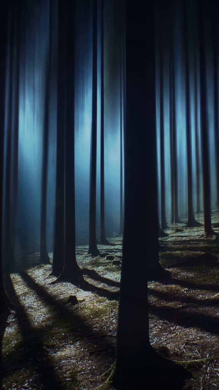 Explore The Mysteries Of The Haunted Forest. Wallpaper