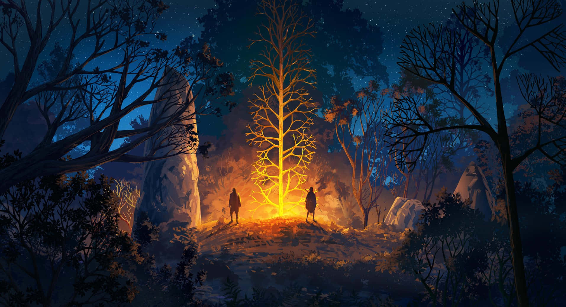 Explore The Mystique Of A Nighttime Forest Wallpaper