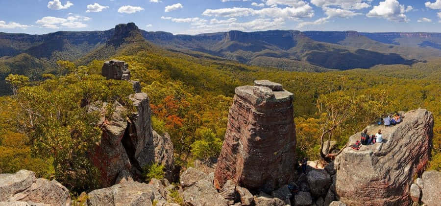 Explore The Scenic Beauty Of Blue Mountains National Park. Wallpaper