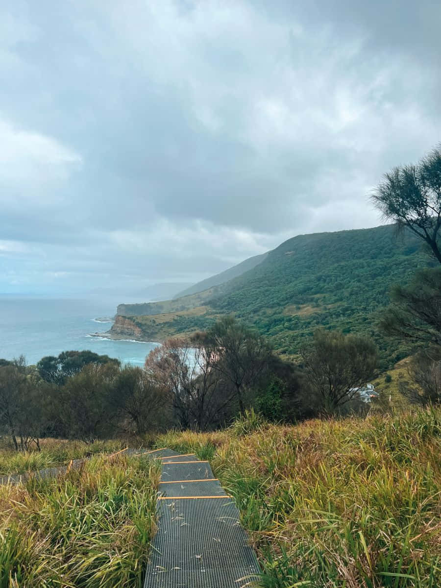 Explore The Stunning Trails Of Blue Mountains National Park Wallpaper