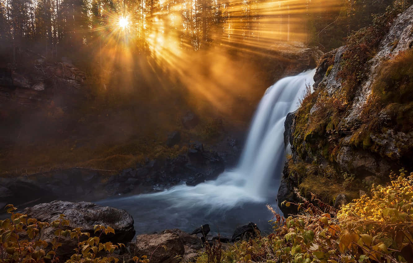 Explore The Wonders Of Yellowstone National Park Wallpaper