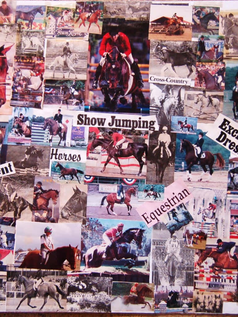 Explore The World Of Horse Racing With This Horse Collage. Wallpaper