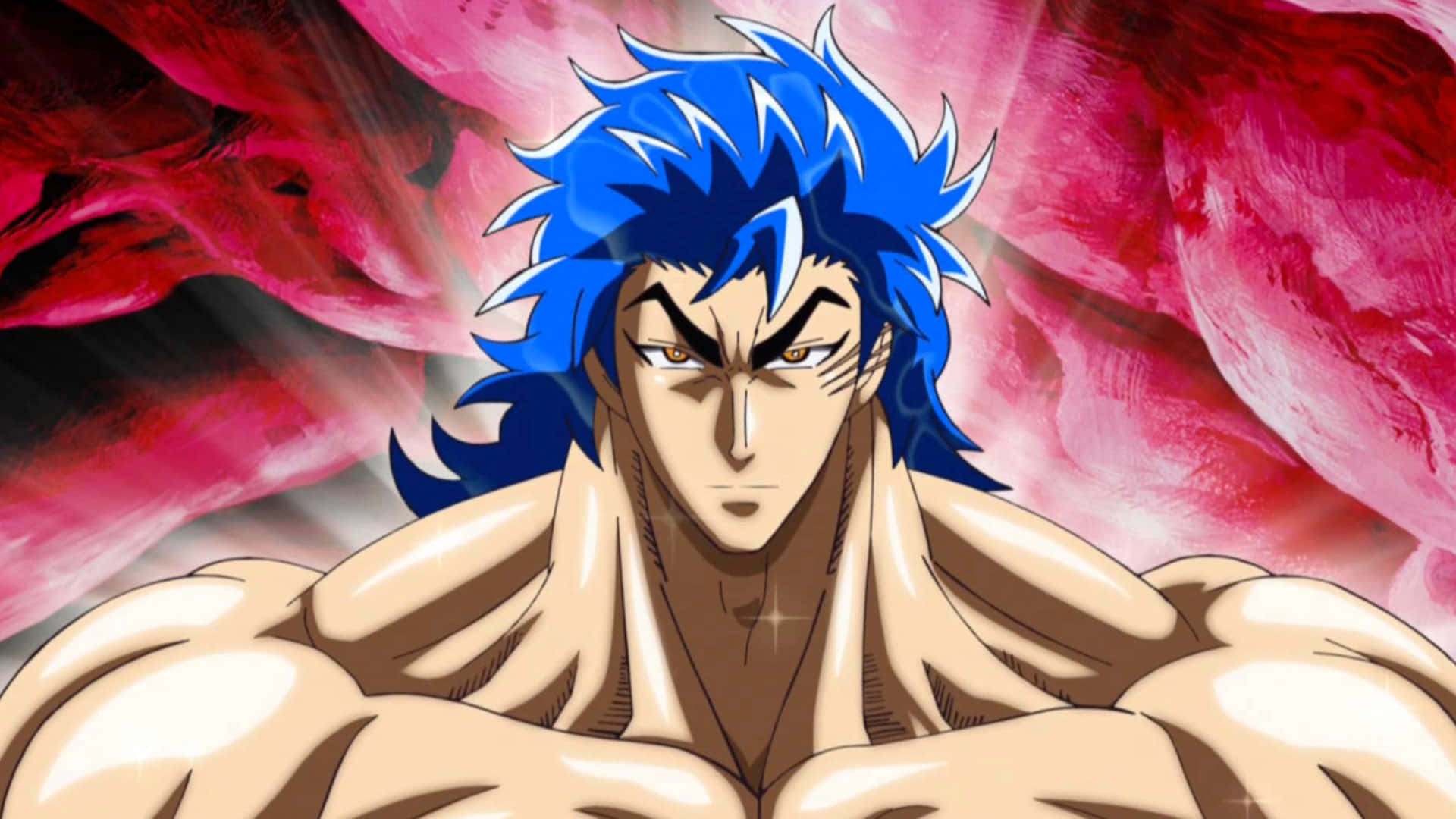 Explore The World With Toriko Wallpaper