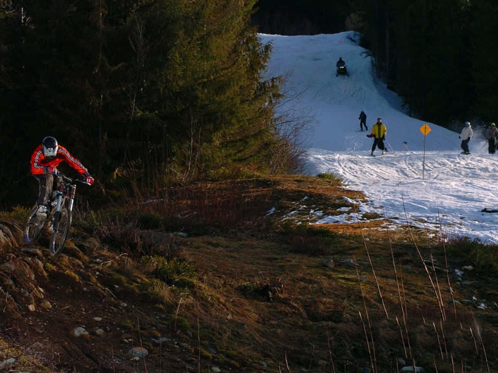 Explore Trails With The Specialized Mountain Bike Wallpaper